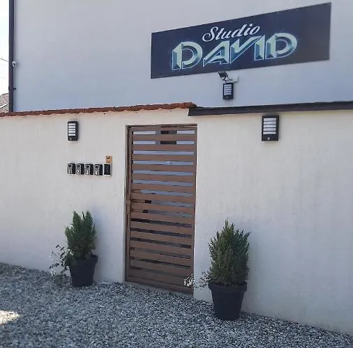 *Studio David*