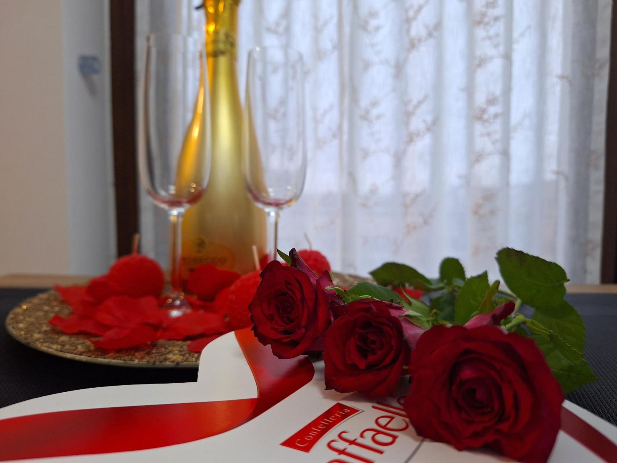 *studio David* Sibiu